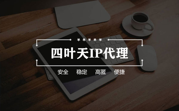 【三沙代理IP】如何快速搭建代理IP？怎么检查代理的效果？